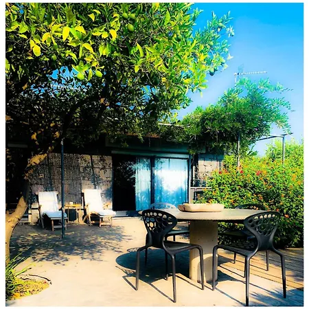 Holiday home The In The Citrus Grove