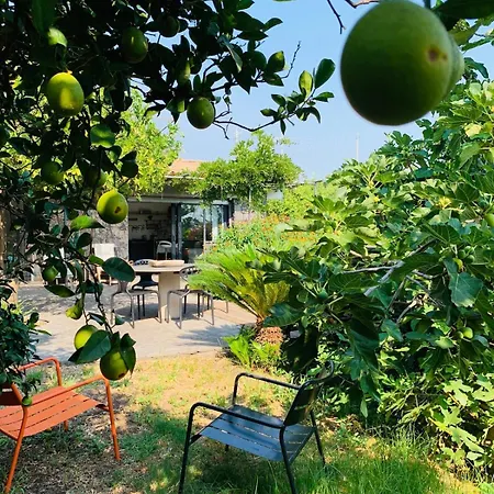 The In The Citrus Grove Holiday home *