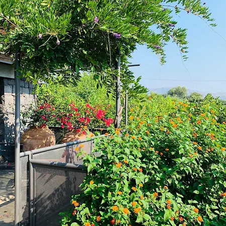 The In The Citrus Grove Holiday home Nunziata