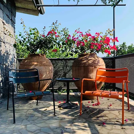 The In The Citrus Grove Holiday home Nunziata
